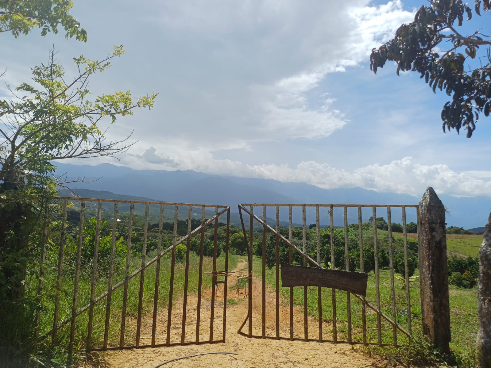 Estos hermosos lotes están en Santa Elena