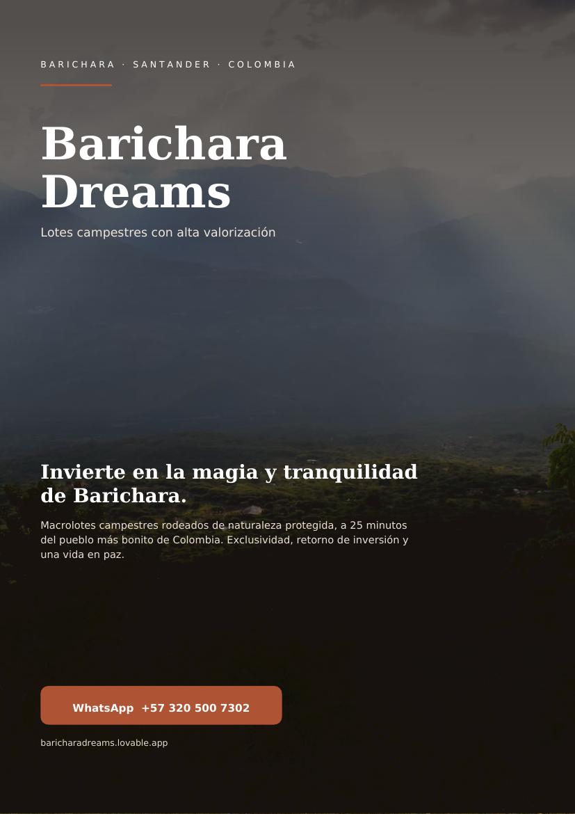Vista previa del brochure