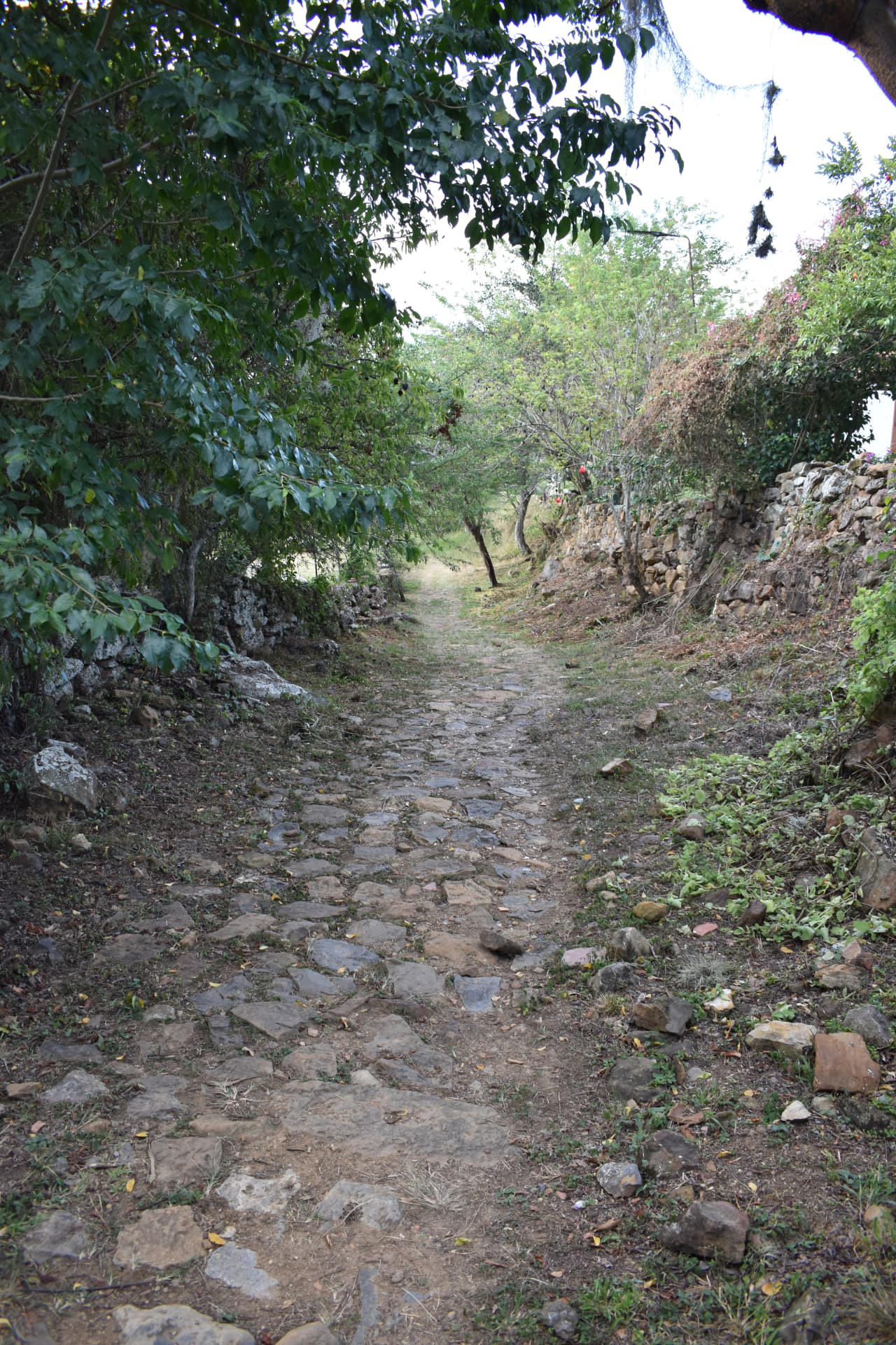 Vista cenital de los macrolotes y la quebrada